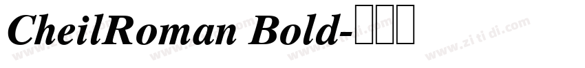 CheilRoman Bold字体转换